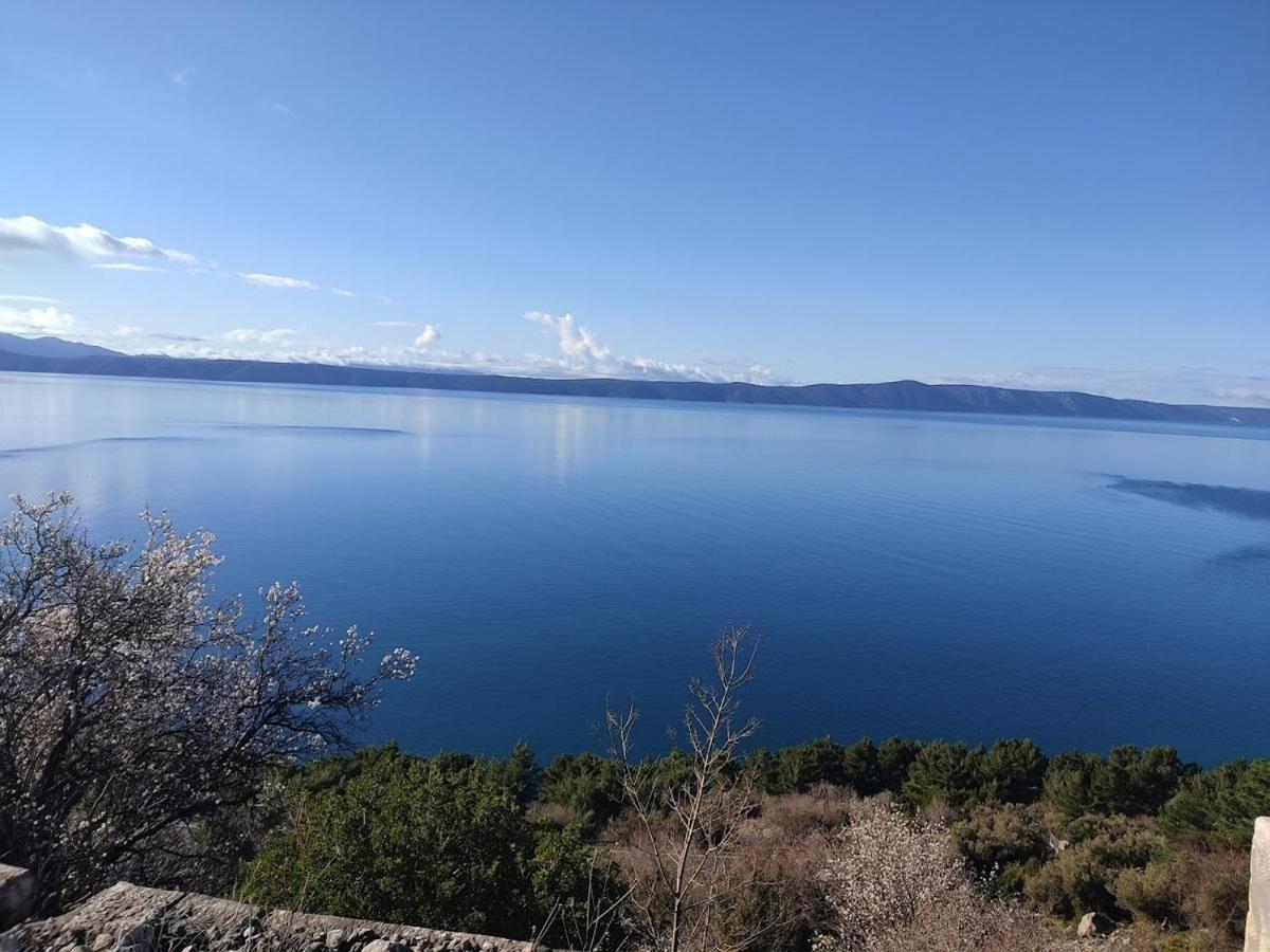 Apartman Krzenic With Sea View Podgora Exterior photo